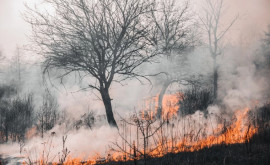 Природоохранное агентство призывает граждан избегать использования открытого огня вблизи жилищ