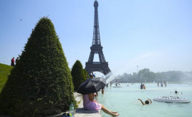 Новая волна жары во Франции Объявлено предупреждение о поездках 