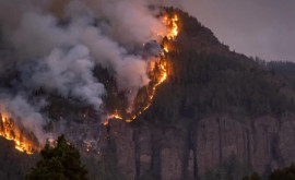На Тенерифе не утихают лесные пожары