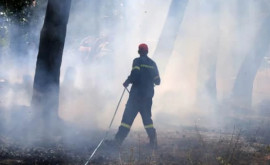 В Греции вспыхнули новые лесные пожары