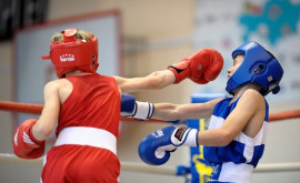 Trei boxeri moldoveni au ajuns în semifinala Campionatului European