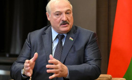 Лукашенко ко Дню независимости Украины Мы должны использовать наше соседство ради прекращения конфронтации