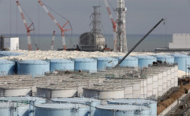 Китай ввел запрет на японские морепродукты в связи с выбросом воды с АЭС Фукусима1