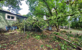 Район ШтефанВодэ стал жертвой дождей повалено много деревьев