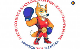 Успех молдавских боксёров на чемпионате Европы