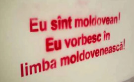 Internauții despre limba moldovenească