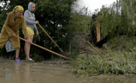 Последствия урагана Затопленные дома поваленные деревья и сорванные крыши