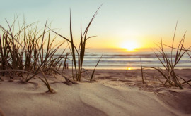 ООН предупреждает Добыча песка из морей приведет к гибели океанических экосистем