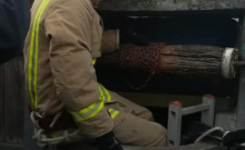O femeie a fost salvată de pompieri după ce a căzut întro fîntînă de 17 metri adîncime