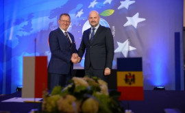 Молдова изучит опыт Польши по развитию аграрного сектора