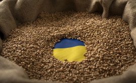 МИД Польши заявил что украинское давление по агроимпорту переходит границы