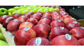 În Moldova sar putea scumpi merele 