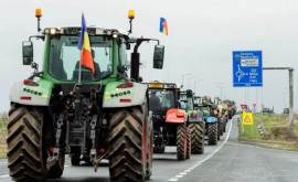 Fermierii români cer prelungirea interdicției de a importa cereale din Ucraina