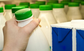 Piața internă înregistrează un deficit de lapte