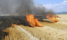 A fost emis Cod Galben de pericol de incendiu în Moldova