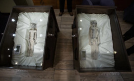 В Мексике уфологилюбители представили депутатам мумии пришельцев