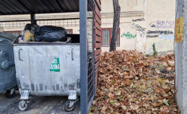 Atenționare unde este interzisă aruncarea deșeurilor vegetale 