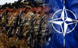 НАТО проведет крупнейшие после холодной войны учения