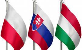 Украина предложила Польше Венгрии и Словакии компромисс по экспорту зерна