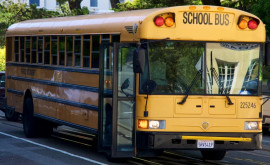 Министерство образования закупит новые школьные автобусы