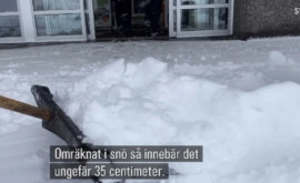 На севере Швеции выпал неожиданно ранний первый снег