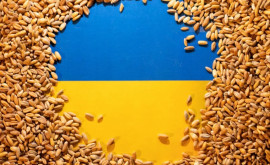 Polonia Diferendul privind cerealele vizează interesele oligarhilor ucraineni