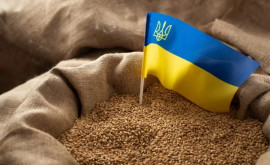Словакия согласилась снять запрет на зерно из Украины при одном условии
