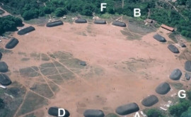 Chiar și locuitorii din vechea Amazonie preparau compost și fertilizau solul