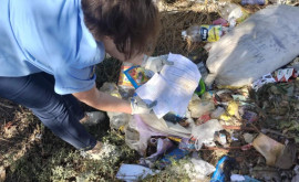 В Тараклии обнаружена незаконная мусорная свалка