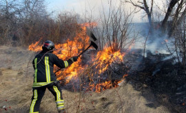 Пожар в Оргееве Пожарные борются с пламенем более пяти часов