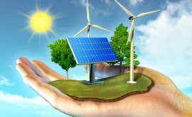Упрощаются процедуры разработки проектов в области возобновляемой энергии