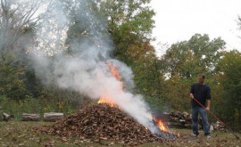 Avertizare Arderea frunzelor pune în pericol mediul