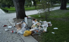Ziua Vinului a trecut Cîte tone de deșeuri au fost evacuate din Piața Marii Adunări Naționale