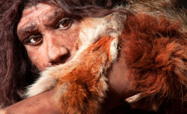 Археологи выяснили что неандертальцы охотились на самого грозного хищника в Евразии