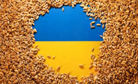 Румыния утвердила новые условия импорта украинского зерна