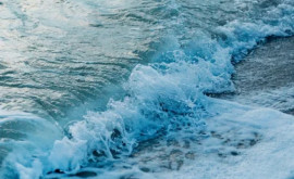 Экологи предупреждают Повышение температуры на планете приведет к гибели морских экосистем