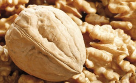 Что происходит на рынке грецкого ореха в Молдове