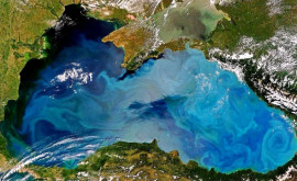 Apa Mării Negre numai bună de scăldat
