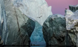 В Гренландии стало жарко таяние массивного ледника может привести к подъему уровня моря