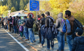 Migrația ilegală în Germania a atins apogeul