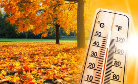 Meteorologii spun că temperaturile record reprezintă o anomalie