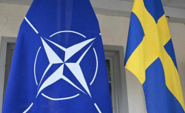 Когда Швеция может стать членом НАТО 