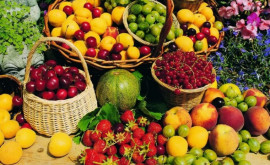 В Молдове будет создан Офис плодоводства