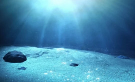 Открытие Под земной корой ученые обнаружили огромный океан