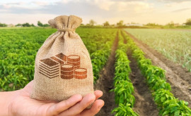 Agricultorii pot solicita subvenții pentru investițiile pe etape
