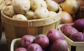 В Молдове снизилось производство картофеля 