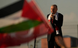 Эрдоган хочет стать гарантом безопасности в секторе Газа