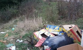 В Единцах зафиксированы нарушения правил хранения мусора 