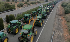 Фермеры объявляют о начале массовых протестов