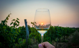 Vinul Moldovei va fi apreciat de un juriu specializat format din experți străini și locali